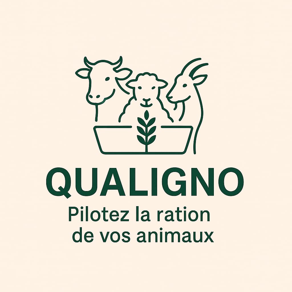 Logo Qualigno